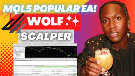 As I write these lines, Wolf Scalper occupies the number 1 spot in the mql5 market on the Expert Advisors. . Wolf scalper mql5